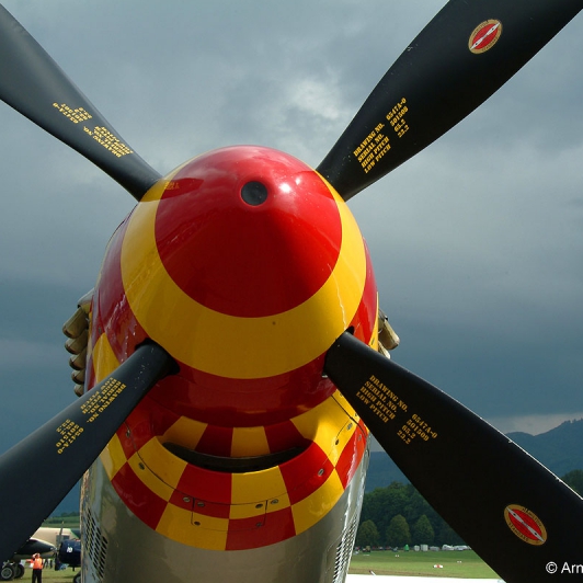 P-51 D Mustang